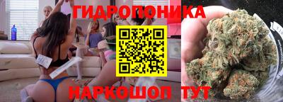 индика Шебекино