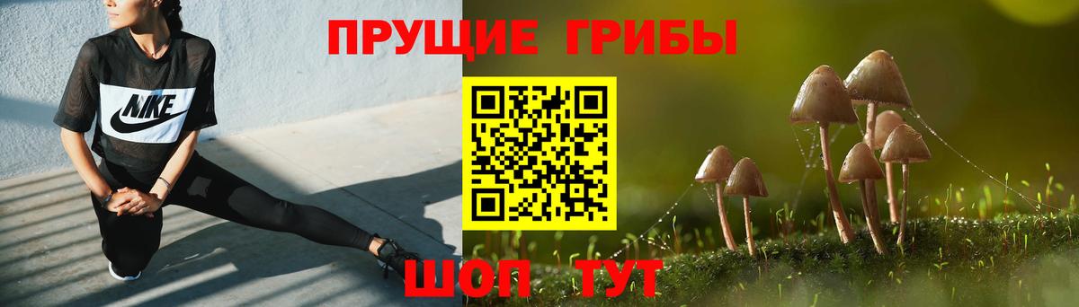 Галлюциногенные грибы Psilocybine cubensis  Вход с VPN  Галлюциногенные грибы ЛСД  Котельники 
